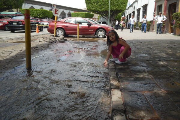 Provoca gato mega fuga de agua en SJR