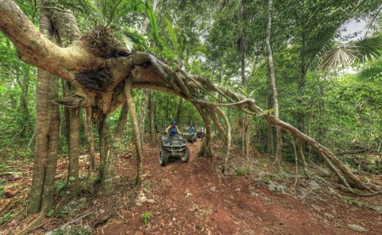 En el parque ecoturístico de Kin-Ha te asignan una cuatrimoto y un guía para ir a un cenote de agua turquesa. / Foto: Iván Galicia / Cielos de México