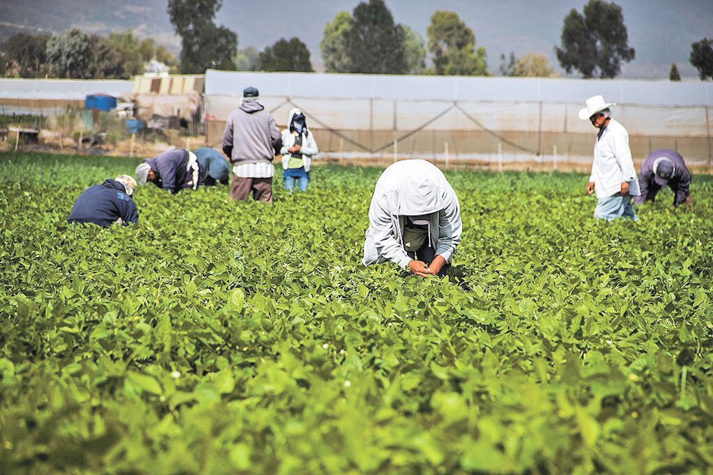 Migraron a EU más de 13 mil 500 queretanos