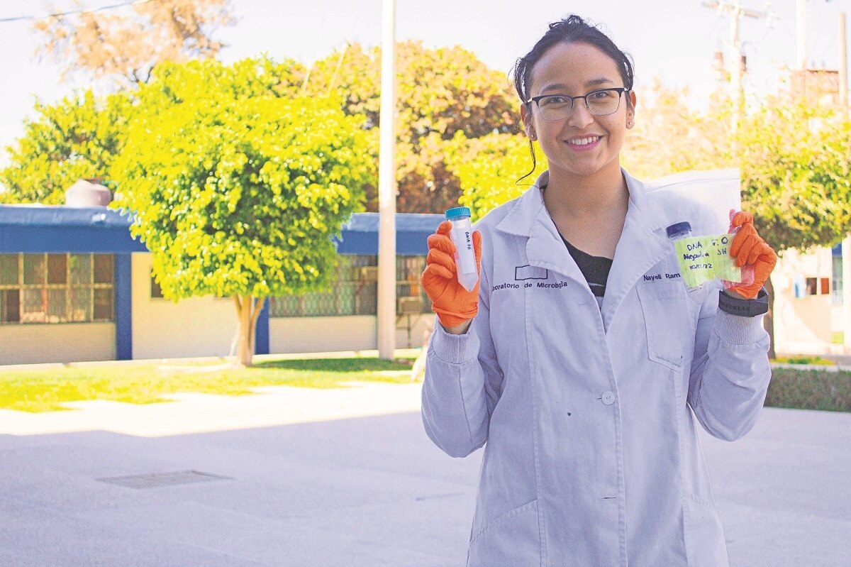 Crean sistema para proteger hortalizas