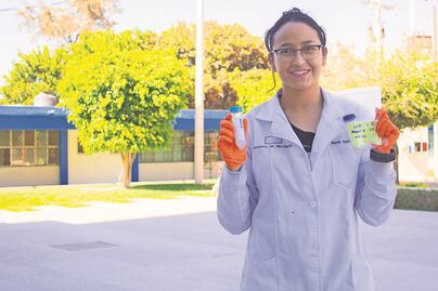 Crean sistema para proteger hortalizas