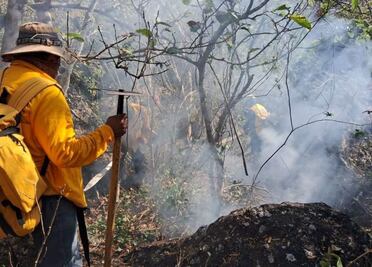 Se duplican incendios forestales en Querétaro, alertan