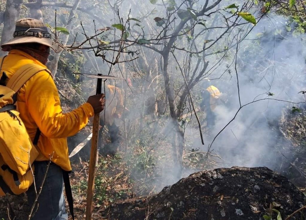 Se duplican incendios forestales en Querétaro, alertan