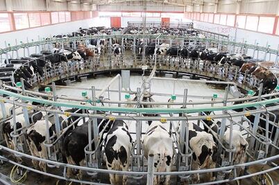 Presentan proyectos productivos rurales