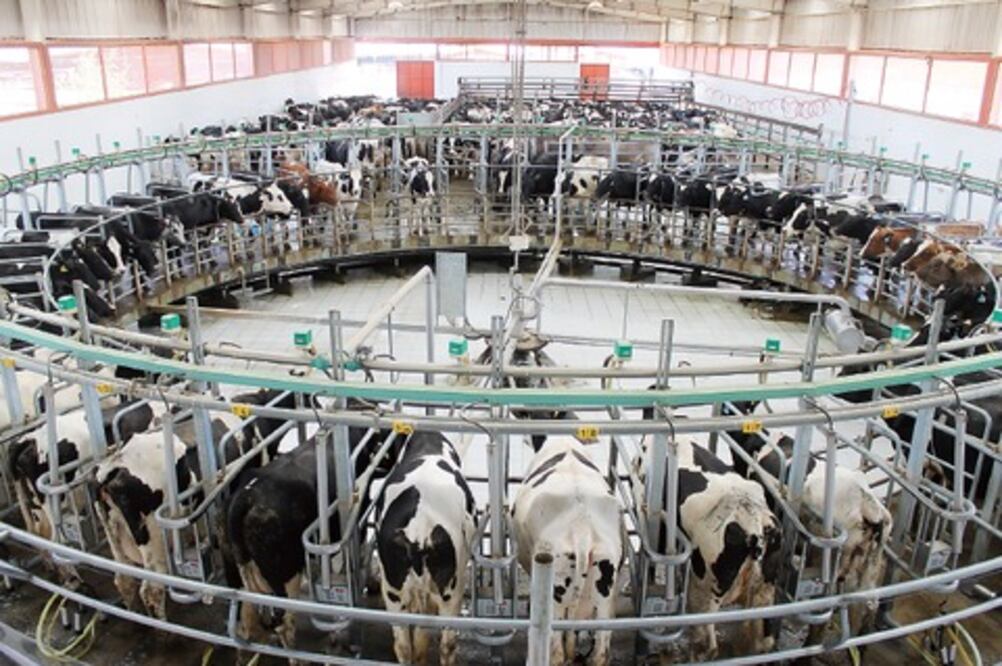 Presentan proyectos productivos rurales