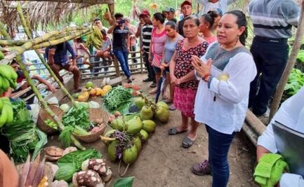 Mexicanos deben de ser solidarios con migrantes que lleguen al país: Bienestar