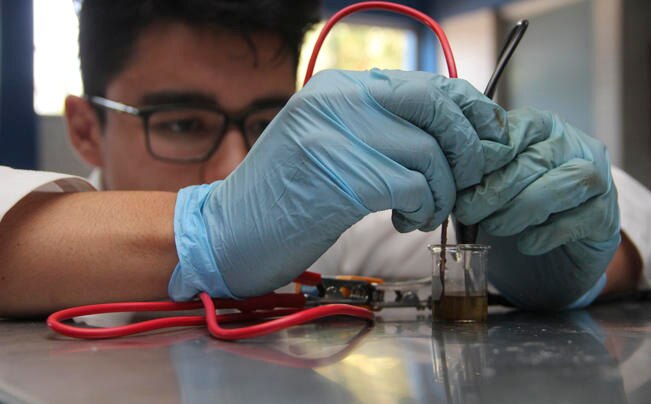 Se tiene un proyecto de medicina tradicional mexicana en colaboración entre la Facultad de Química y las facultades de Enfermería y Ciencias Naturales, dicen. (FOTOS: ESPECIAL)