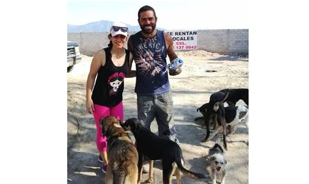 Hombre intercambia leña por comida para perritos