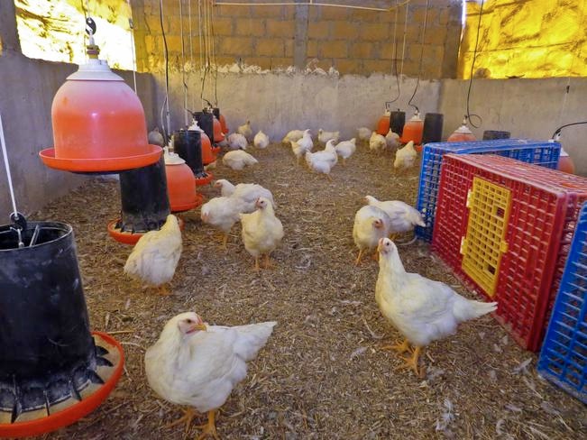 Foto: Archivo, El Universal