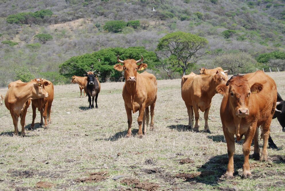 FOTO: Archivo El Unviersal