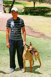  Alistan centro para torneo  de perros 