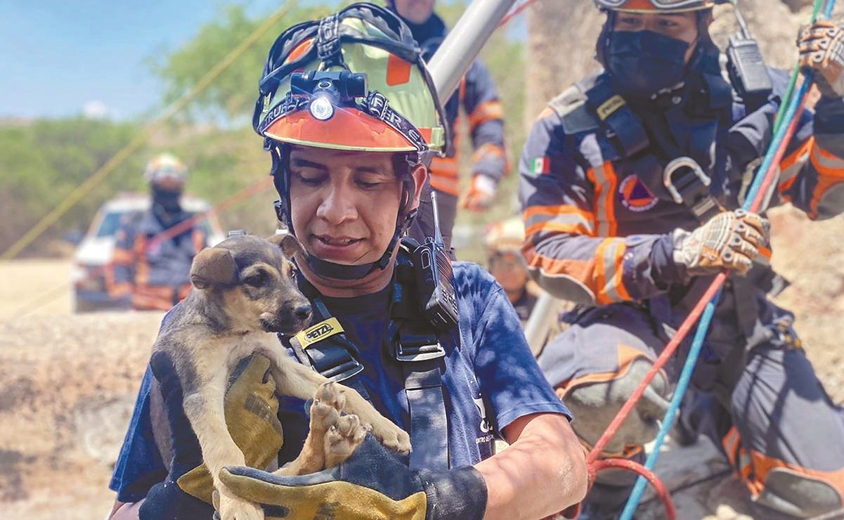 Foto: Protección Civil El Marqués