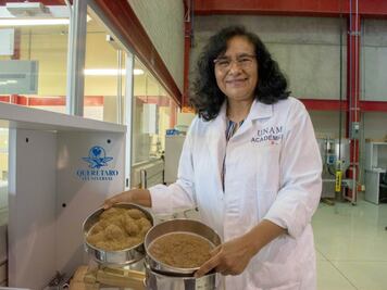 Las fibras naturales, aliadas poco  utilizadas