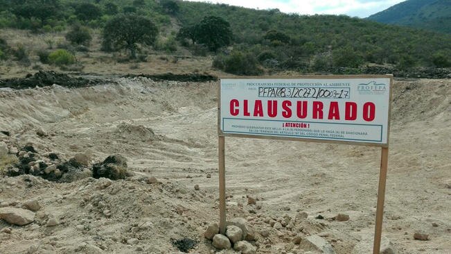 Profepa clausura obras en San Juan del Río por afectar vegetación