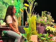 Hongos, los protagonistas de un concierto sensorial