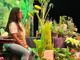 Hongos, los protagonistas de un concierto sensorial