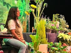 Hongos, los protagonistas de un concierto sensorial