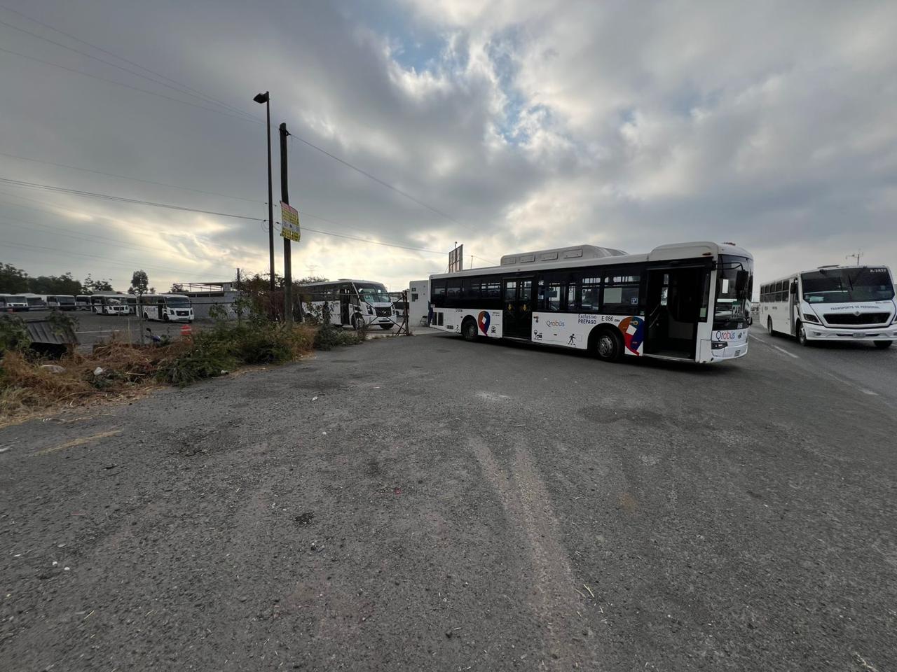 AMEQ confirma afectaciones en 14 rutas por paro en patios de Citybus