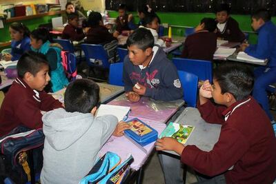 El Marqués lleva a cabo el programa AMA en primarias