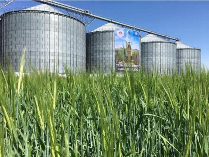 Foto: Miguel Pallares