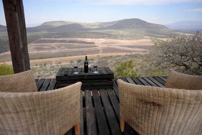 Prevén crecimiento de producción vinícola en el estado