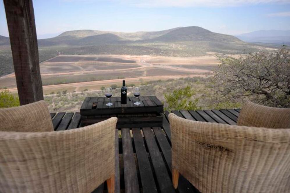 Además de aumentar sus hectáreas productivas, la empresa Puerta del Lobo busca incluir atractivos ecoturísticos, construir una escuela de vino y una zona comercial con restaurantes, una fábrica de quesos y una de cerveza artesanal (ESPECIAL)