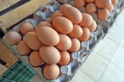 Bajo revisión, fiscalizan a candidatos