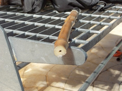 Promoverán uso del bambú