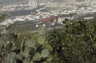 Avanza proceso para zona protegida 