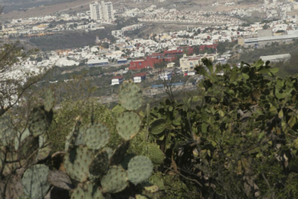 Avanza proceso para zona protegida