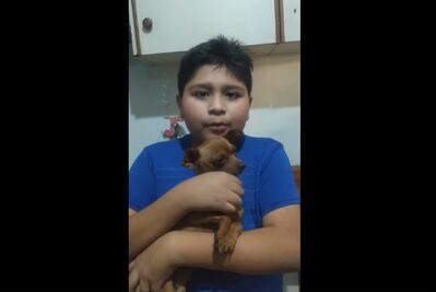 "Cachito" regresó a casa; su dueño ofrecía 350 pesos como recompensa