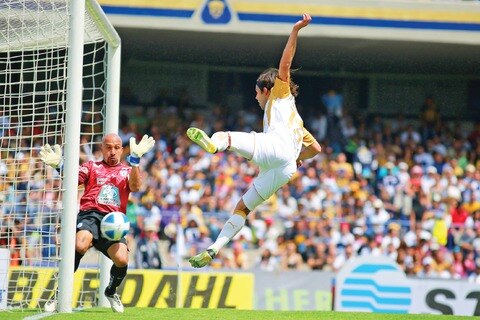 Acusan el calor de mediodía en cubil