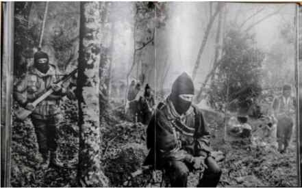 "En México estamos superados por la violencia": Antonio Turok