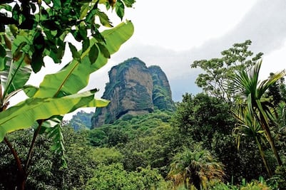 Instan a proteger áreas naturales
