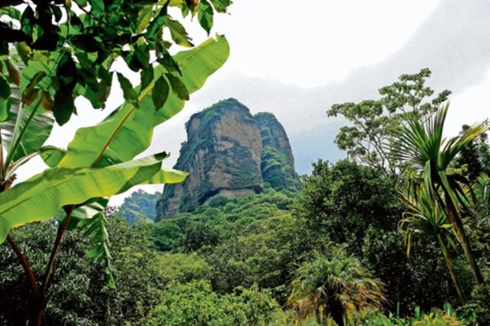 Instan a proteger áreas naturales