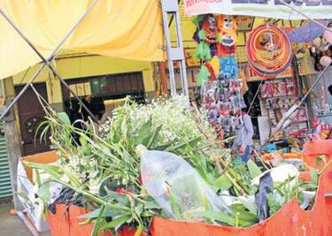 Sólo seis colonias separan basura
