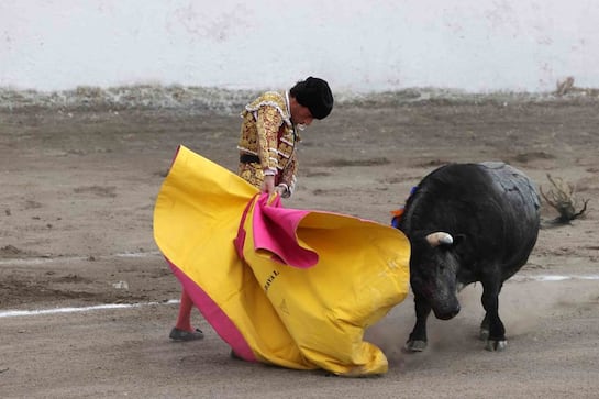 Ordena juez suspensión de corrida de toros en Juriquilla