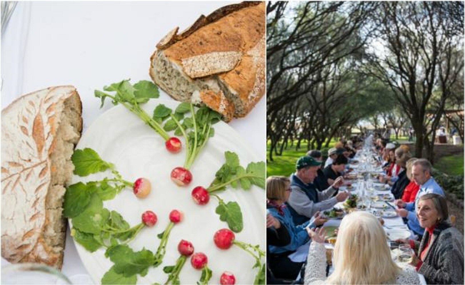 Foto: Cortesía/ Panio en la mesa de Outstanding In The Field