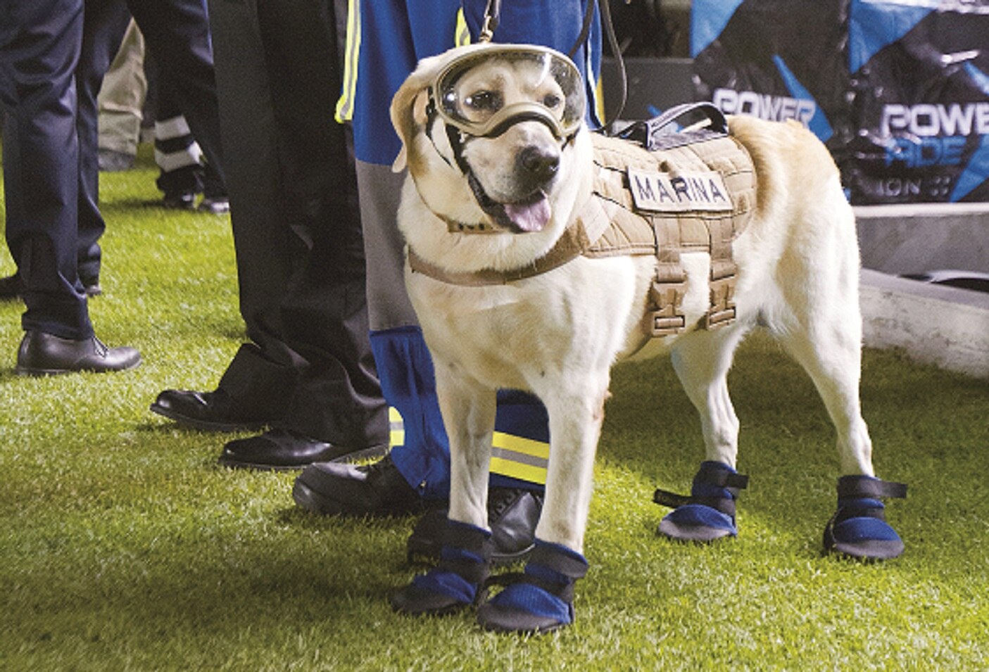 Frida, la estrella de la noche