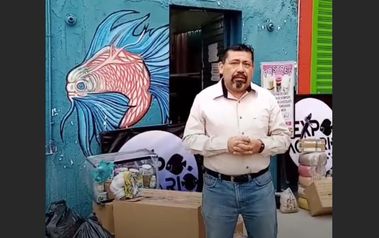 Video. Arman vaquita para Don Alex, adulto mayor es dueño de un acuario en Querétaro