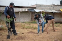 Querétaro alista reforestación en Las Hadas por obras del tren México–Querétaro