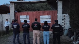 Suspende pensión de perros por irregularidades en el municipio de Querétaro; aseguran 28 ejemplares