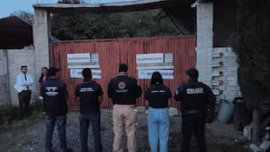 Suspende pensión de perros por irregularidades en el municipio de Querétaro; aseguran 28 ejemplares