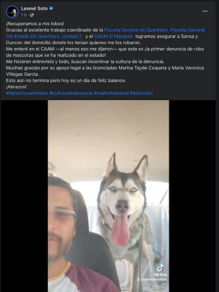 Fiscalía rescata a dos perros que habían sido secuestrados en Querétaro
