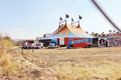 Niegan daño por prohibir animales 