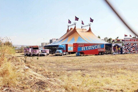 Niegan daño por prohibir animales