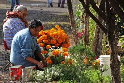 Reporta SSPMQ saldo blanco en panteones
