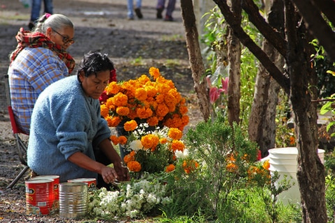 Reporta SSPMQ saldo blanco en panteones
