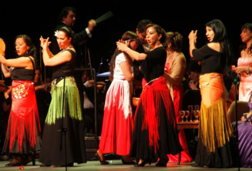 Dos conciertos “De ópera y pasión”