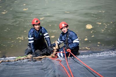 Rescatan a seis perritos que cayeron a un cuerpo de agua